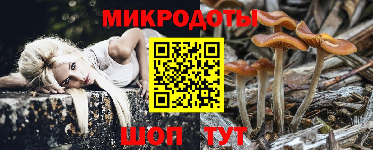 Галлюциногенные грибы Psilocybine cubensis Павловский Посад
